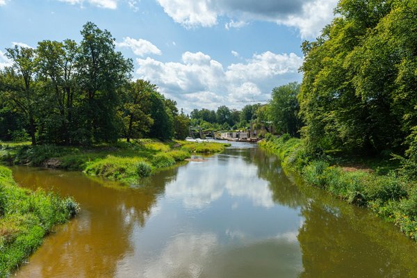 Les incontournables : sélection captivante des meilleurs ouvrages sur l'hypertension